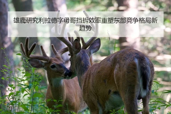 雄鹿研究利拉德字母哥挡拆效率重塑东部竞争格局新趋势